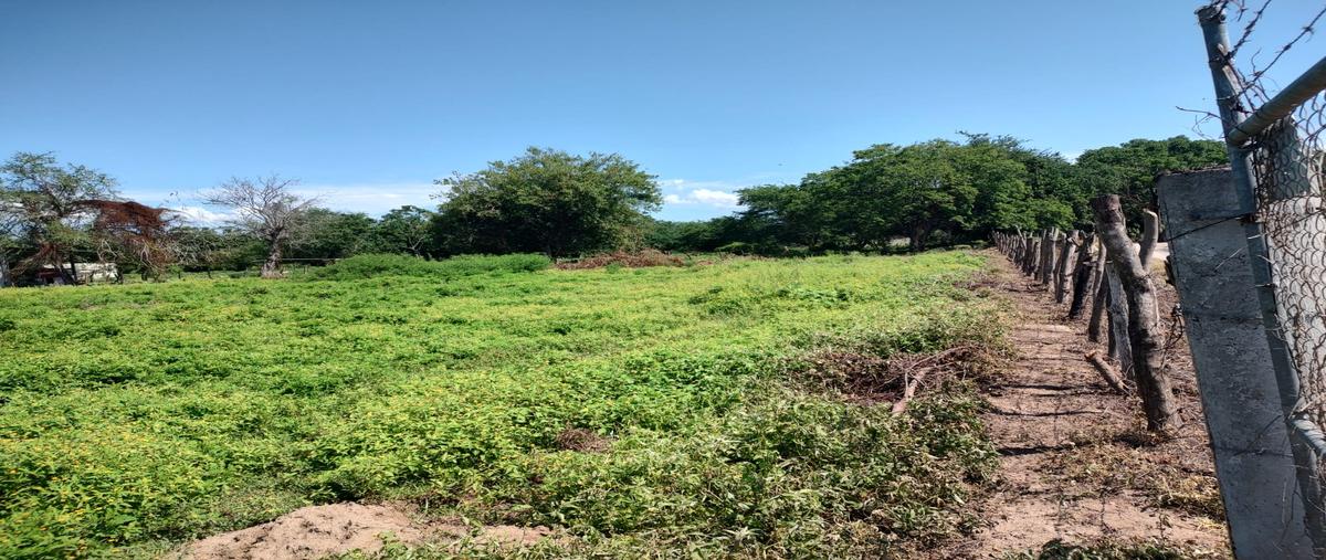 Foto de terreno habitacional en venta en al noroeste de san josé del valle , san josé del valle, bahía de banderas, nayarit, 25353107 No. 06