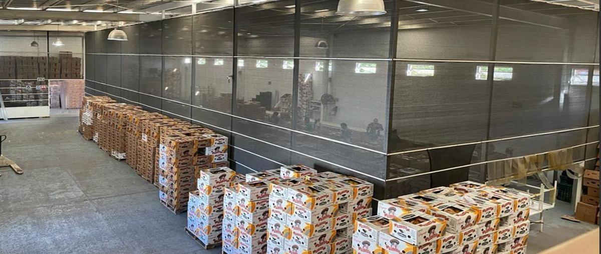 Foto de bodega en alamar , alamar, tijuana, baja california, 28840982 foto 01 Foto de bodega en venta en alamar , alamar, tijuana, baja california, 28840982 No. 01