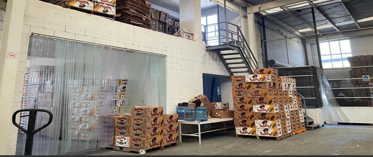 Foto de bodega en alamar , alamar, tijuana, baja california, 28840982 foto 04 Foto de bodega en venta en alamar , alamar, tijuana, baja california, 28840982 No. 04