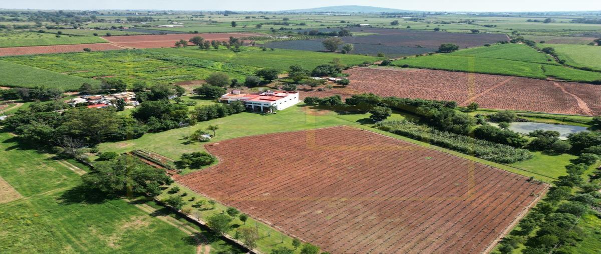 Foto de rancho en venta en alameda, tepatitlán de morelos, jalisco , alameda, tepatitlán de morelos, jalisco, 0 No. 04