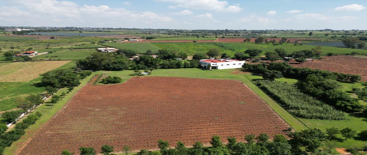 Foto de rancho en venta en alameda, tepatitlán de morelos, jalisco , alameda, tepatitlán de morelos, jalisco, 0 No. 05