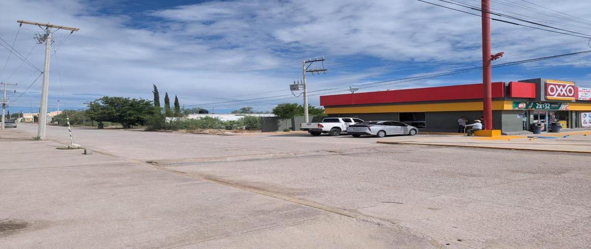 Foto de terreno comercial en venta en  , alamedas, cuencamé, durango, 0 No. 03