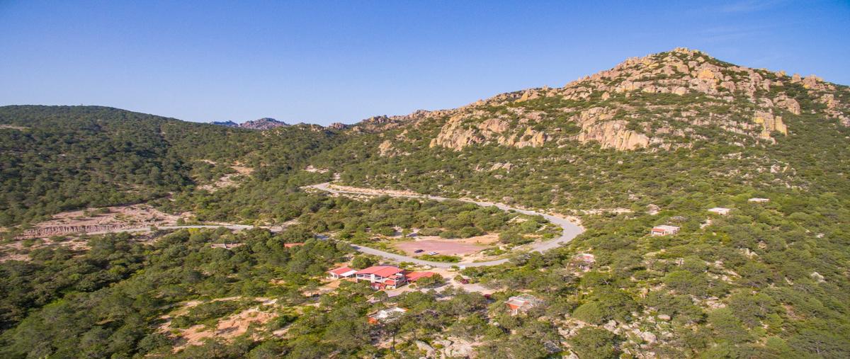 Foto de rancho en venta en  , alamitos, jerez, zacatecas, 18059801 No. 04