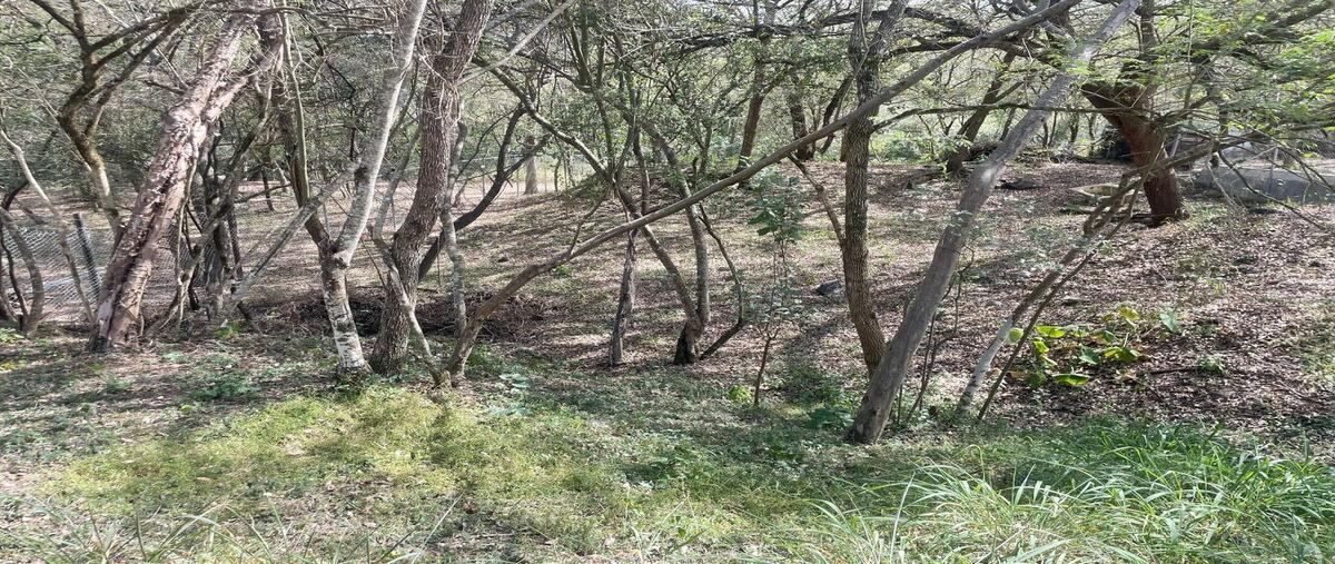 Foto de terreno habitacional en alamo , san pedro el álamo, santiago, nuevo león, 29344763 foto 05 Foto de terreno habitacional en venta en alamo , san pedro el álamo, santiago, nuevo león, 29344763 No. 05