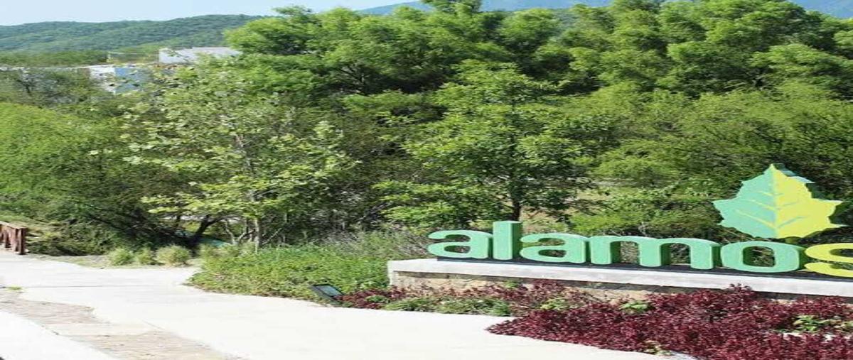 Foto de terreno habitacional en venta en alamo sur santiago , alamosur, santiago, nuevo león, 28479858 No. 03