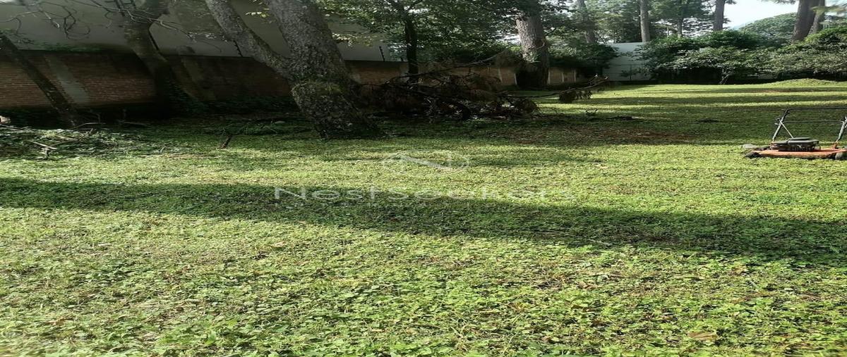 Foto de terreno habitacional en venta en alamo , valle de bravo, valle de bravo, méxico, 29934825 No. 03