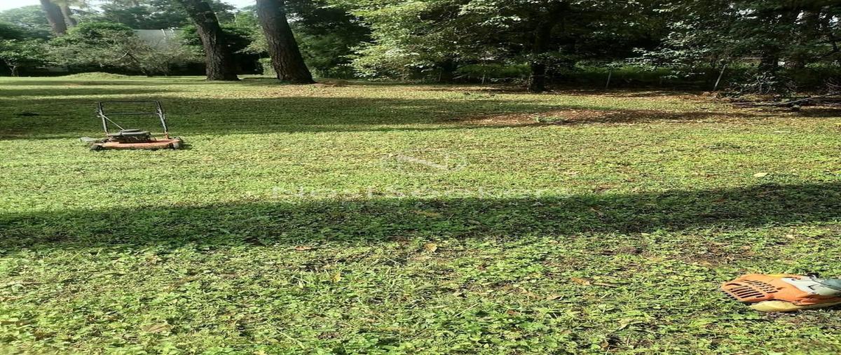 Foto de terreno habitacional en venta en alamo , valle de bravo, valle de bravo, méxico, 29934825 No. 04