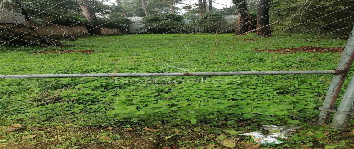 Foto de terreno habitacional en venta en alamo , valle de bravo, valle de bravo, méxico, 29934825 No. 05