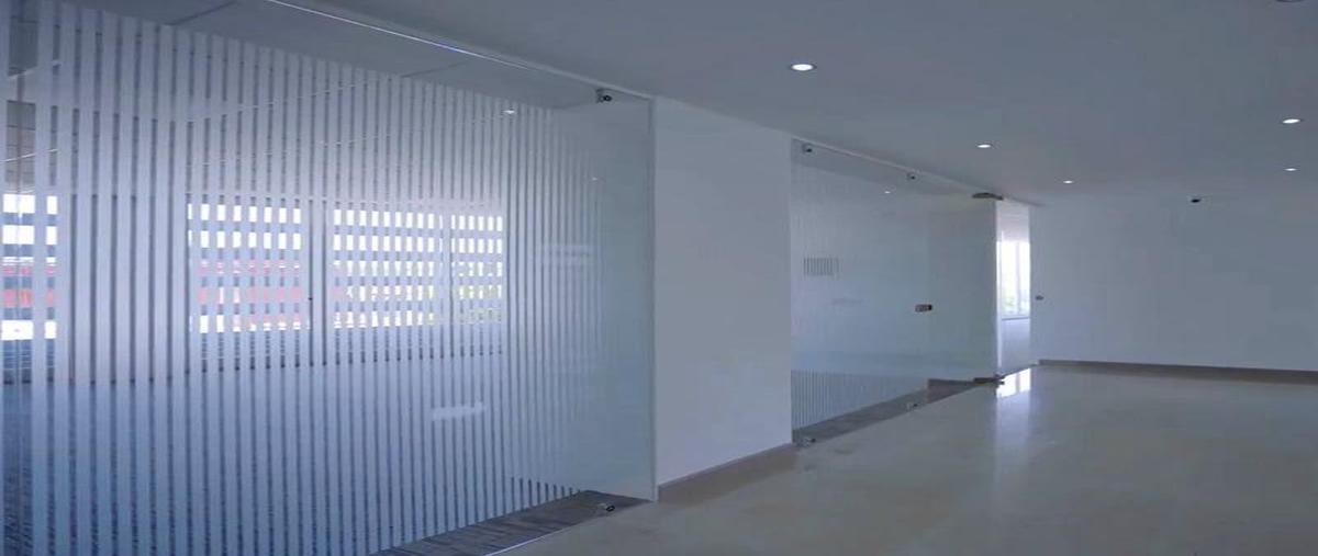 Foto de oficina en renta en  , álamos 1a sección, querétaro, querétaro, 0 No. 05