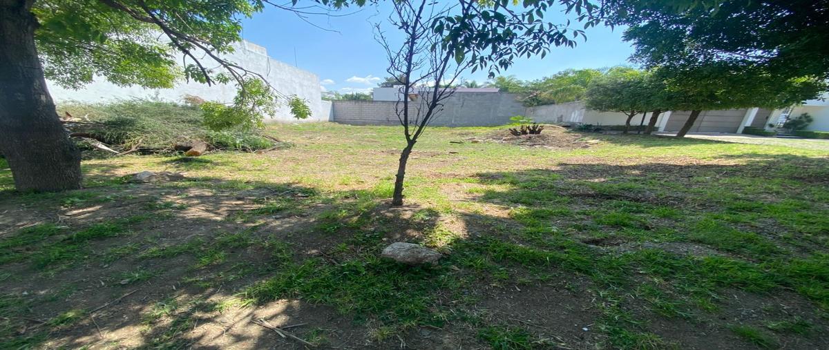 Foto de terreno habitacional en , álamos 2a sección, querétaro, querétaro, 0 foto 03 Foto de terreno habitacional en venta en , álamos 2a sección, querétaro, querétaro, 0 No. 03