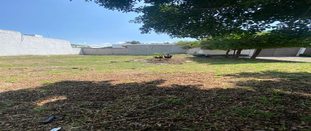 Foto de terreno habitacional en , álamos 2a sección, querétaro, querétaro, 0 foto 05 Foto de terreno habitacional en venta en , álamos 2a sección, querétaro, querétaro, 0 No. 05