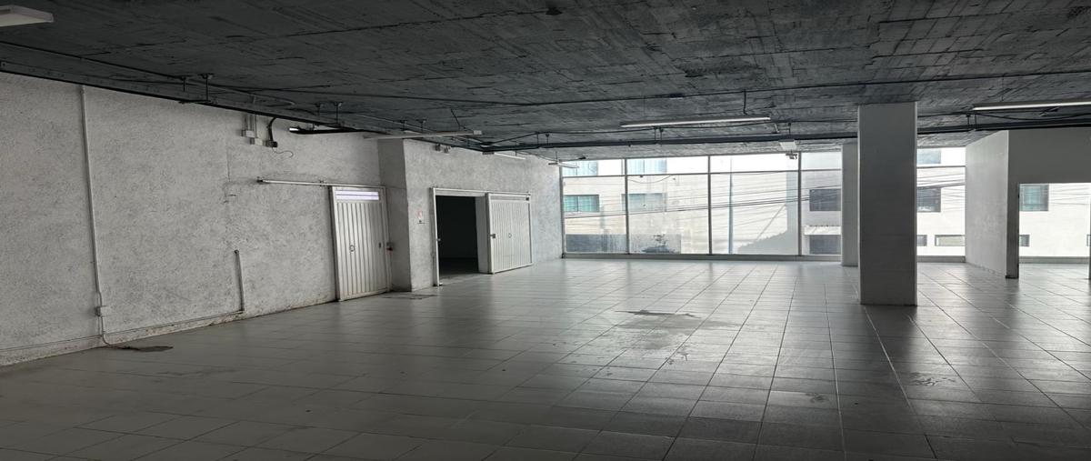 Foto de local en renta en  , álamos 2a sección, querétaro, querétaro, 0 No. 05