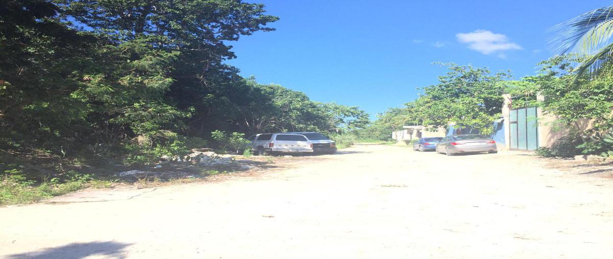 Foto de terreno habitacional en venta en  , álamos i, benito juárez, quintana roo, 18494817 No. 03