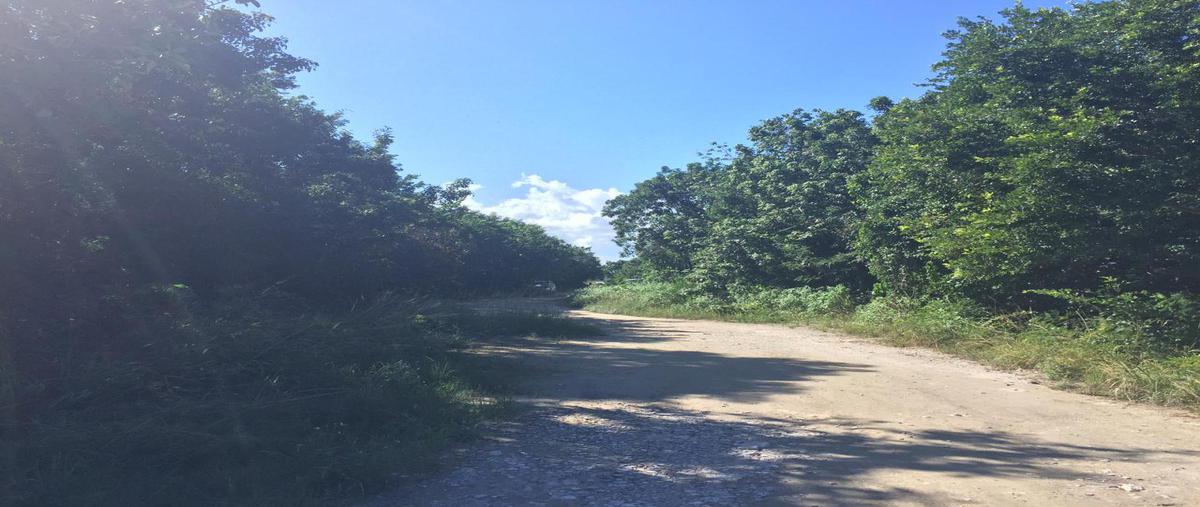 Foto de terreno habitacional en venta en  , álamos i, benito juárez, quintana roo, 18494817 No. 04