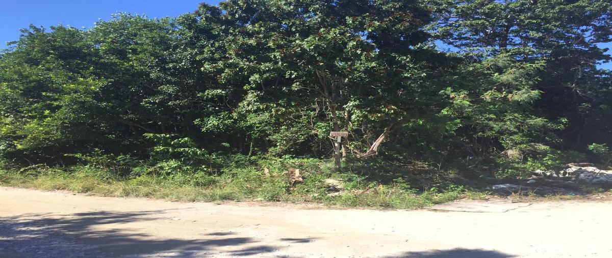 Foto de terreno habitacional en venta en  , álamos i, benito juárez, quintana roo, 18494817 No. 05