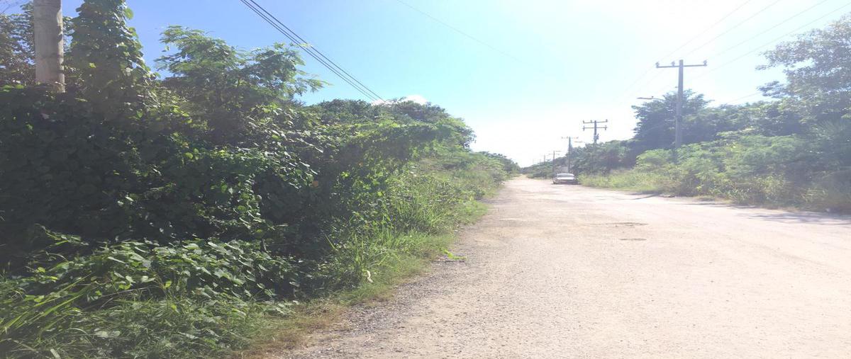 Foto de terreno habitacional en , álamos i, benito juárez, quintana roo, 18494821 foto 03 Foto de terreno habitacional en venta en , álamos i, benito juárez, quintana roo, 18494821 No. 03