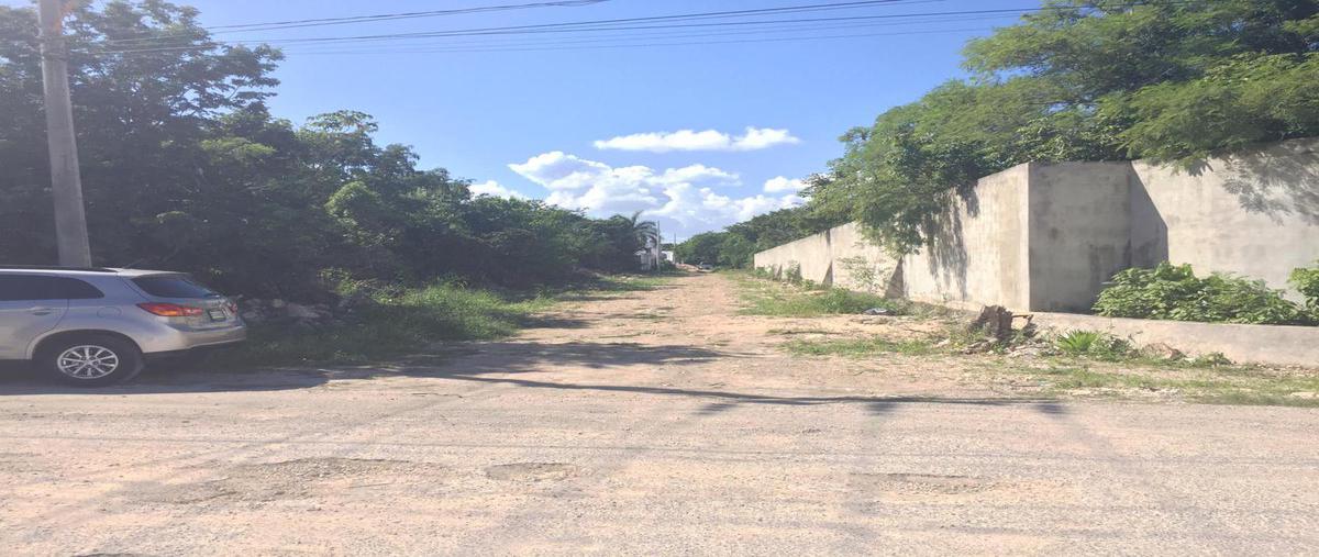 Foto de terreno habitacional en , álamos i, benito juárez, quintana roo, 0 foto 05 Foto de terreno habitacional en venta en , álamos i, benito juárez, quintana roo, 0 No. 05