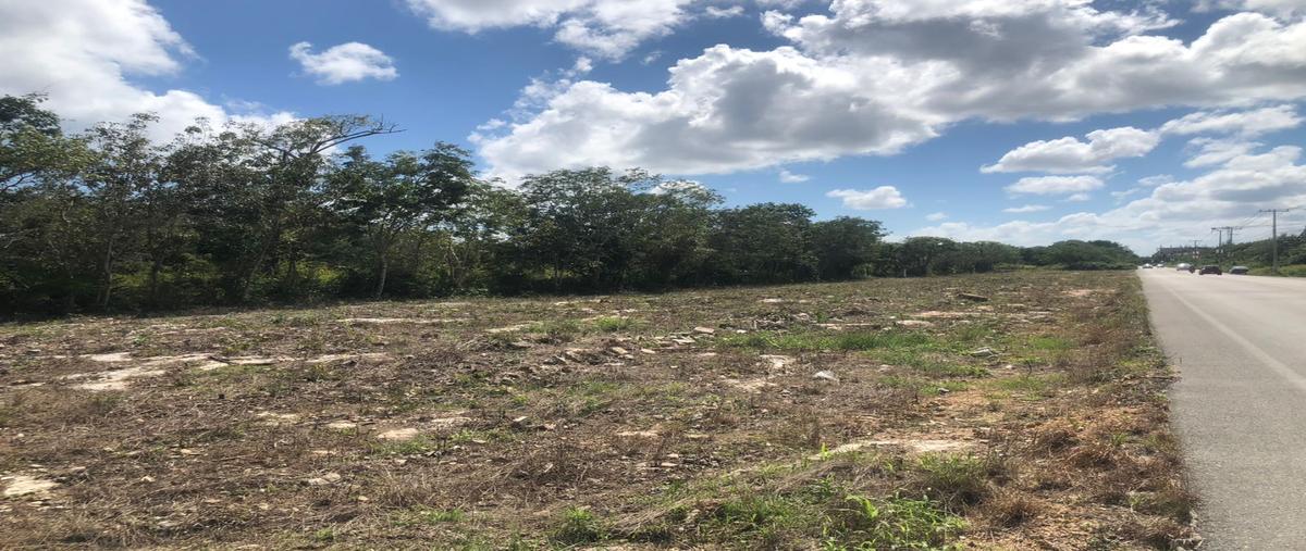 Foto de terreno habitacional en , álamos i, benito juárez, quintana roo, 24276286 foto 02 Foto de terreno habitacional en venta en , álamos i, benito juárez, quintana roo, 24276286 No. 02