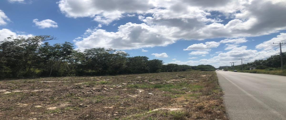 Foto de terreno habitacional en , álamos i, benito juárez, quintana roo, 24276286 foto 03 Foto de terreno habitacional en venta en , álamos i, benito juárez, quintana roo, 24276286 No. 03
