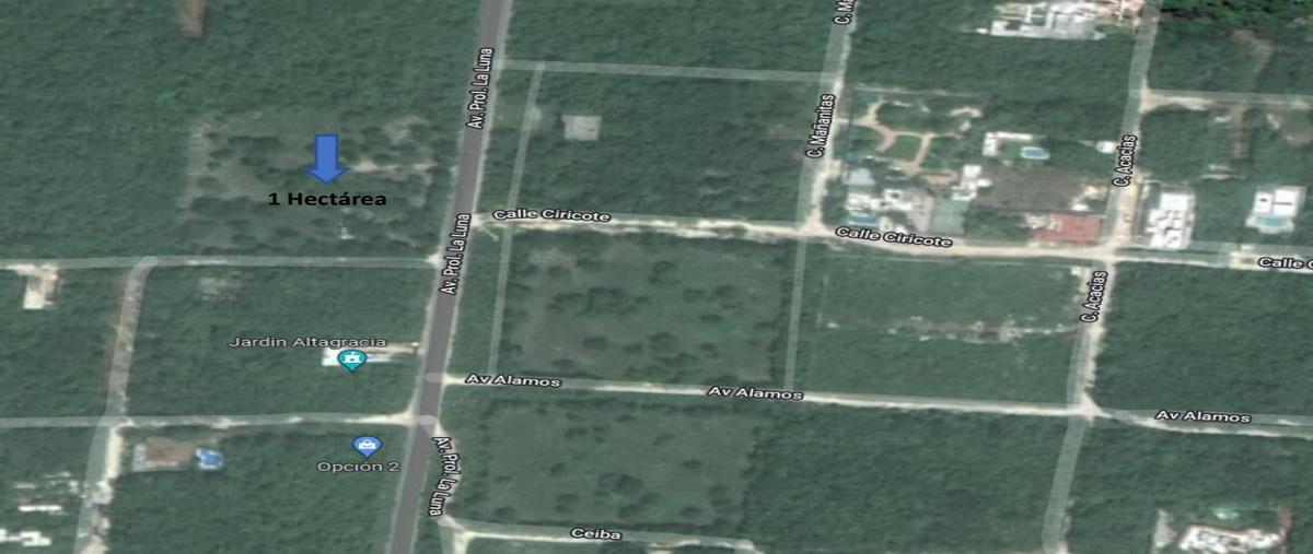 Foto de terreno habitacional en , álamos i, benito juárez, quintana roo, 24276291 foto 02 Foto de terreno habitacional en venta en , álamos i, benito juárez, quintana roo, 24276291 No. 02