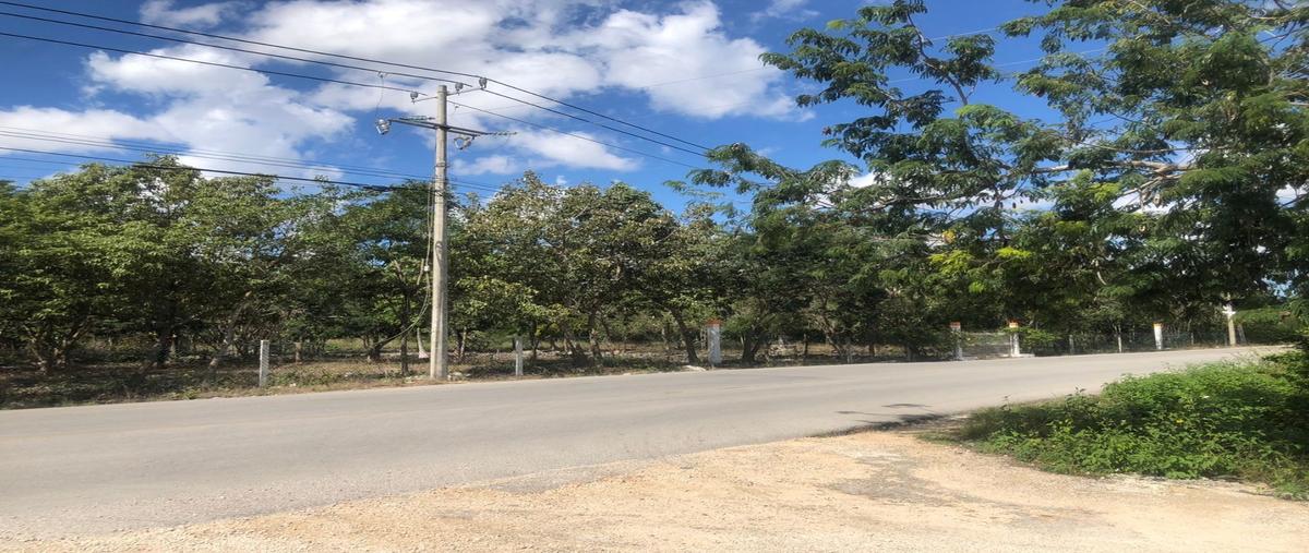 Foto de terreno habitacional en , álamos i, benito juárez, quintana roo, 24276291 foto 03 Foto de terreno habitacional en venta en , álamos i, benito juárez, quintana roo, 24276291 No. 03