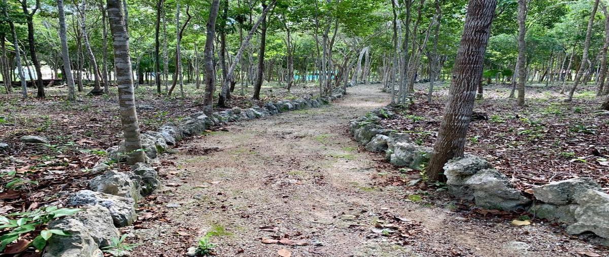 Foto de terreno habitacional en venta en  , álamos i, benito juárez, quintana roo, 24276295 No. 03