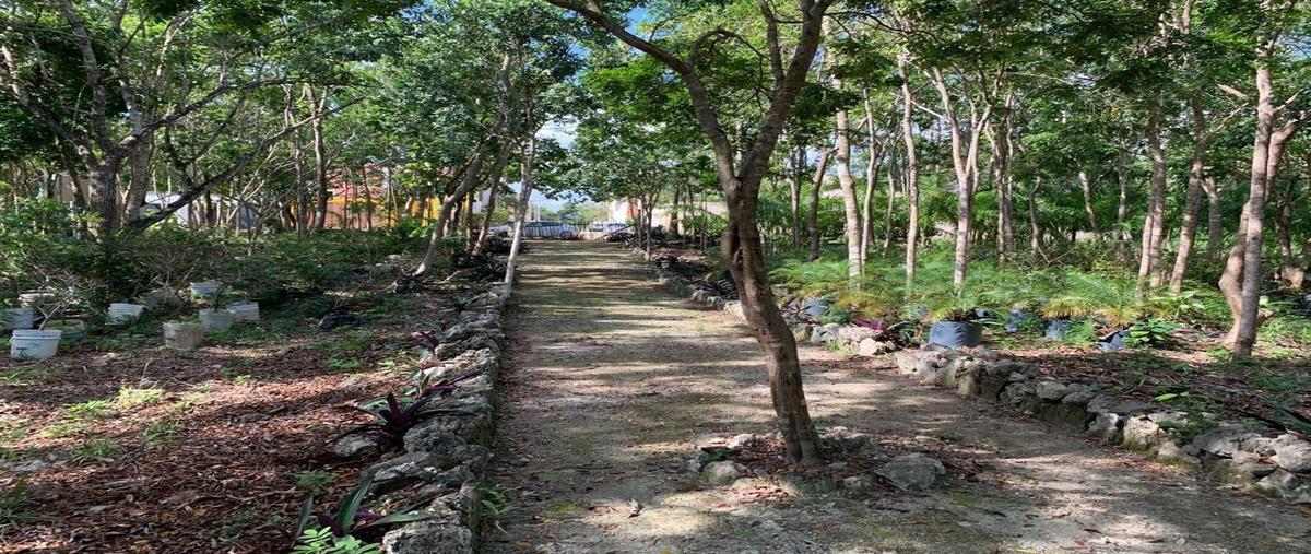 Foto de terreno habitacional en venta en  , álamos i, benito juárez, quintana roo, 24276295 No. 04