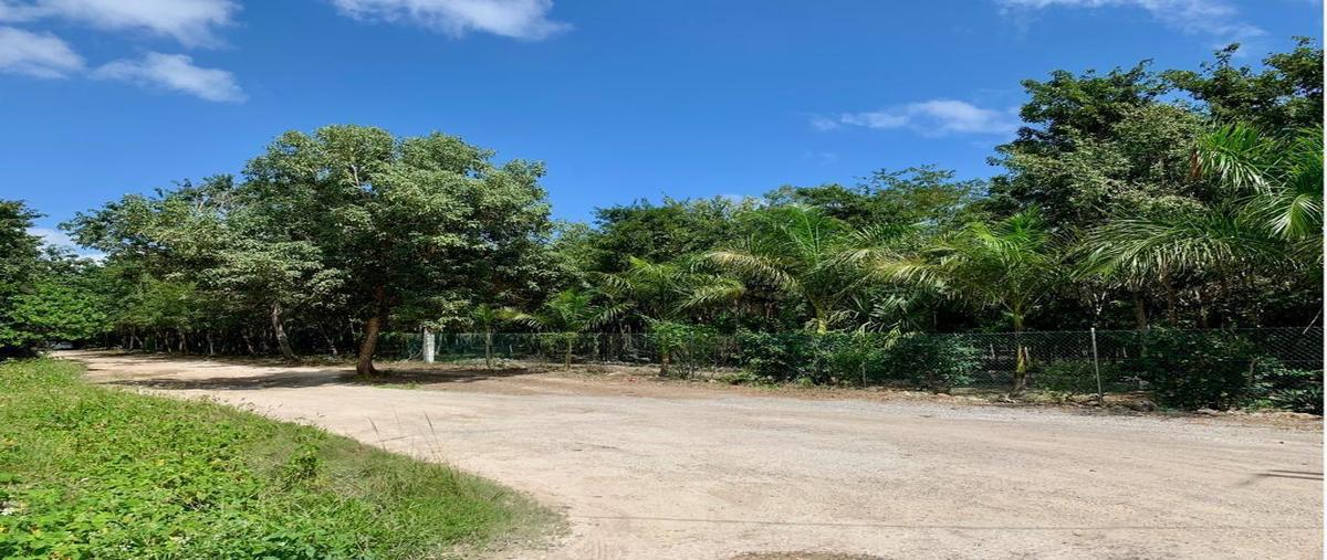 Foto de terreno habitacional en venta en  , álamos i, benito juárez, quintana roo, 24276295 No. 05