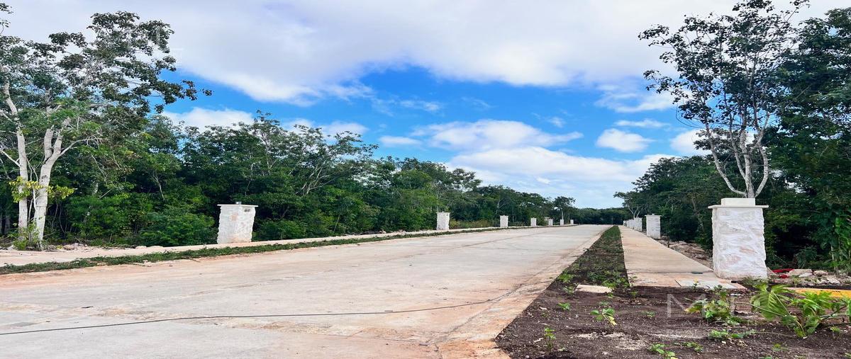 Foto de terreno habitacional en venta en  , álamos i, benito juárez, quintana roo, 26012744 No. 03