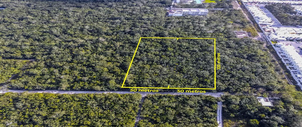 Foto de terreno habitacional en venta en  , álamos i, benito juárez, quintana roo, 26297892 No. 03
