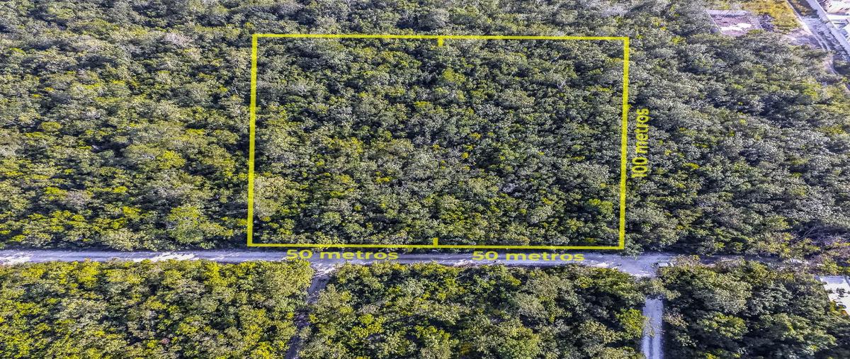 Foto de terreno habitacional en venta en  , álamos i, benito juárez, quintana roo, 26297892 No. 04