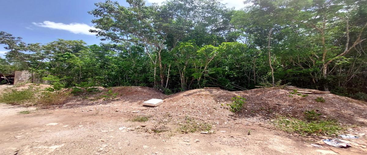 Foto de terreno habitacional en venta en  , álamos i, benito juárez, quintana roo, 26934299 No. 03