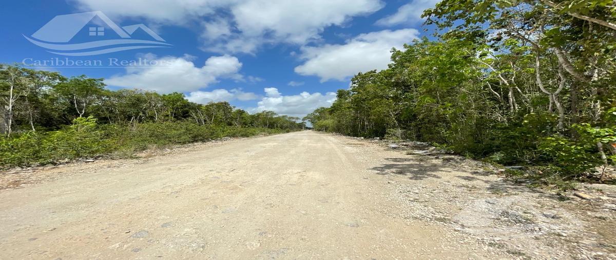 Foto de terreno habitacional en , álamos i, benito juárez, quintana roo, 29297572 foto 01 Foto de terreno habitacional en venta en , álamos i, benito juárez, quintana roo, 29297572 No. 01