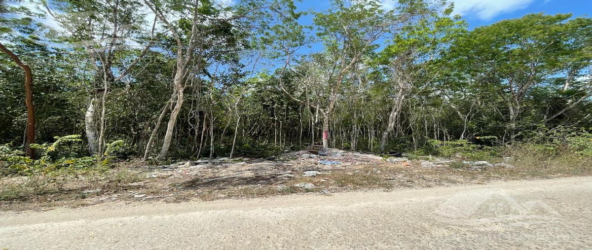 Foto de terreno habitacional en , álamos i, benito juárez, quintana roo, 29297572 foto 03 Foto de terreno habitacional en venta en , álamos i, benito juárez, quintana roo, 29297572 No. 03