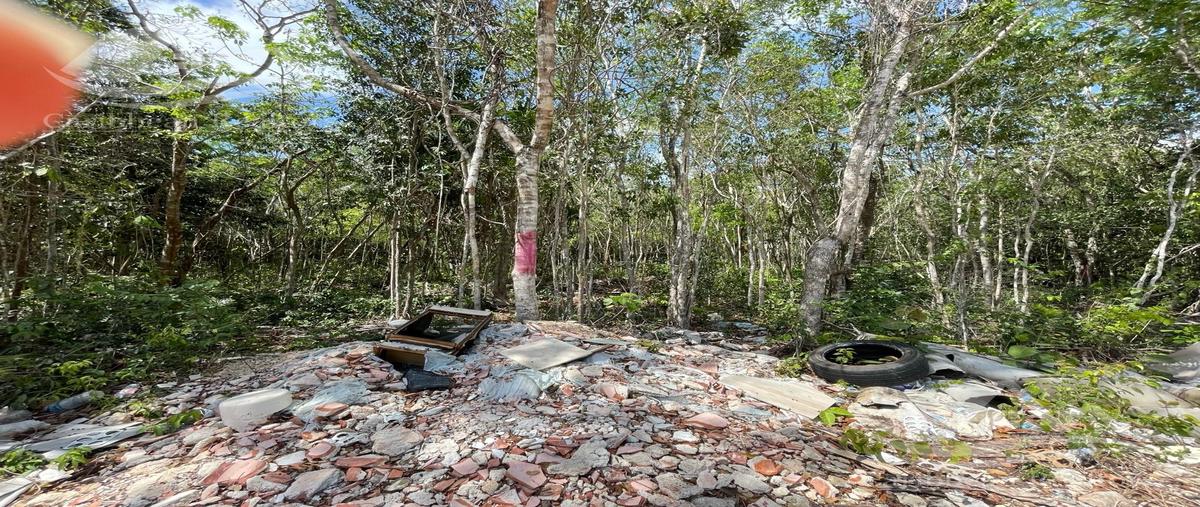 Foto de terreno habitacional en , álamos i, benito juárez, quintana roo, 29297572 foto 04 Foto de terreno habitacional en venta en , álamos i, benito juárez, quintana roo, 29297572 No. 04