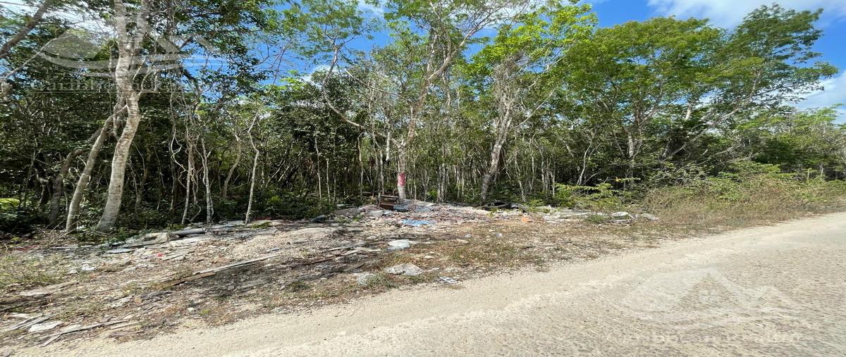 Foto de terreno habitacional en , álamos i, benito juárez, quintana roo, 29297572 foto 05 Foto de terreno habitacional en venta en , álamos i, benito juárez, quintana roo, 29297572 No. 05