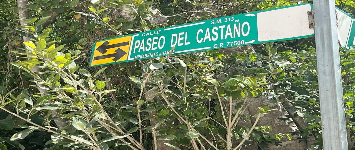 Foto de terreno habitacional en renta en  , álamos i, benito juárez, quintana roo, 29438239 No. 04