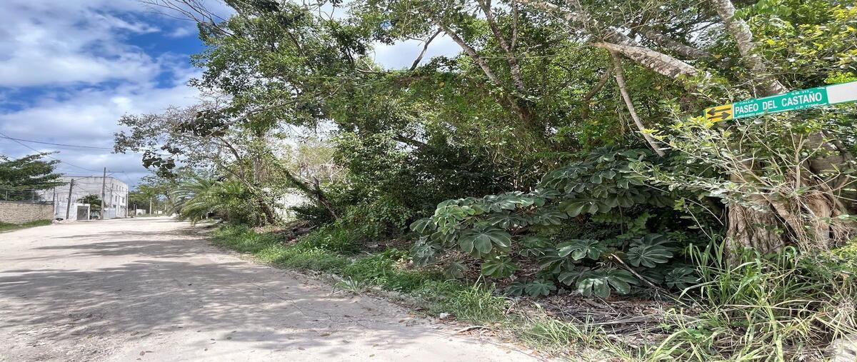 Foto de terreno habitacional en renta en  , álamos i, benito juárez, quintana roo, 29438239 No. 05