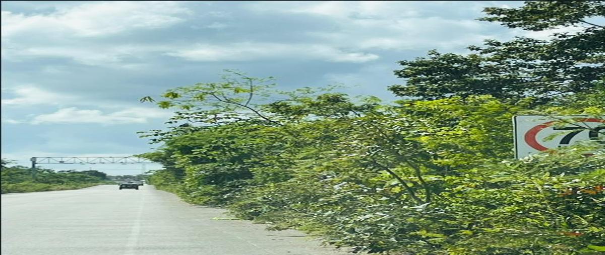 Foto de terreno habitacional en , álamos i, benito juárez, quintana roo, 0 foto 01 Foto de terreno habitacional en venta en , álamos i, benito juárez, quintana roo, 0 No. 01