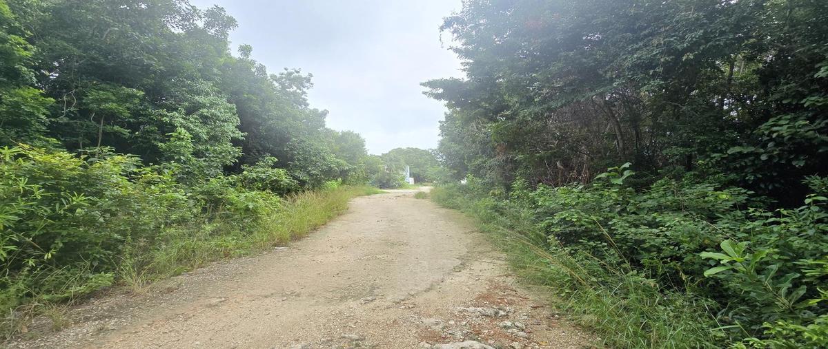 Foto de terreno habitacional en venta en  , álamos i, benito juárez, quintana roo, 29816105 No. 04