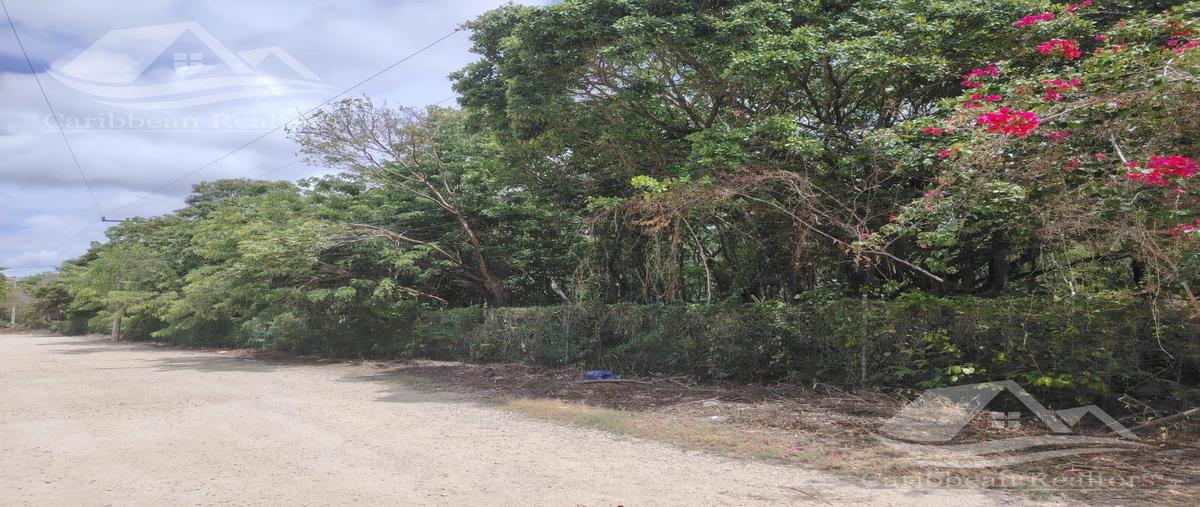 Foto de terreno habitacional en venta en  , álamos i, benito juárez, quintana roo, 0 No. 03