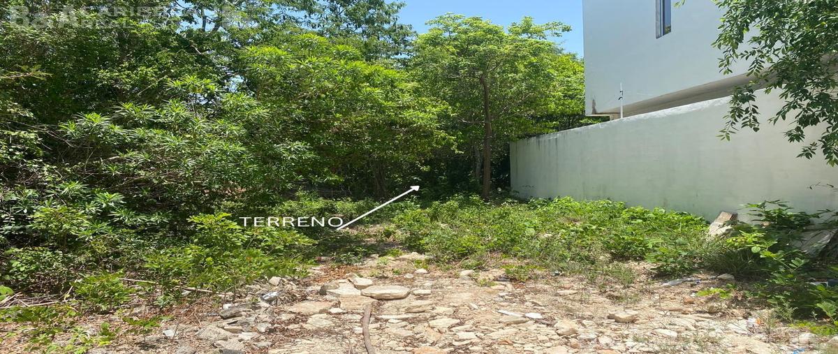 Foto de terreno habitacional en venta en  , álamos i, benito juárez, quintana roo, 30123911 No. 03