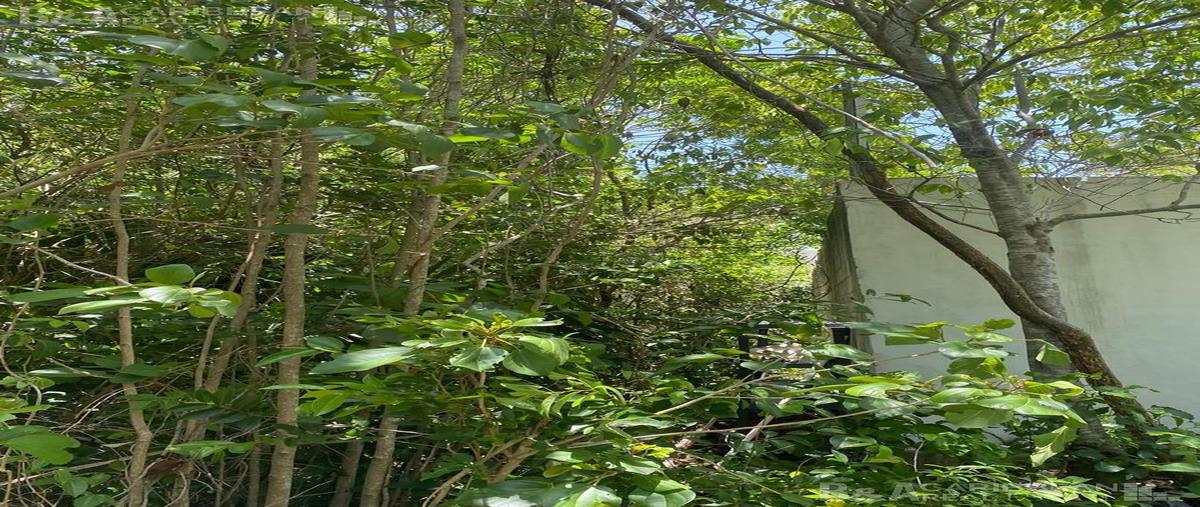 Foto de terreno habitacional en venta en  , álamos i, benito juárez, quintana roo, 30123911 No. 05