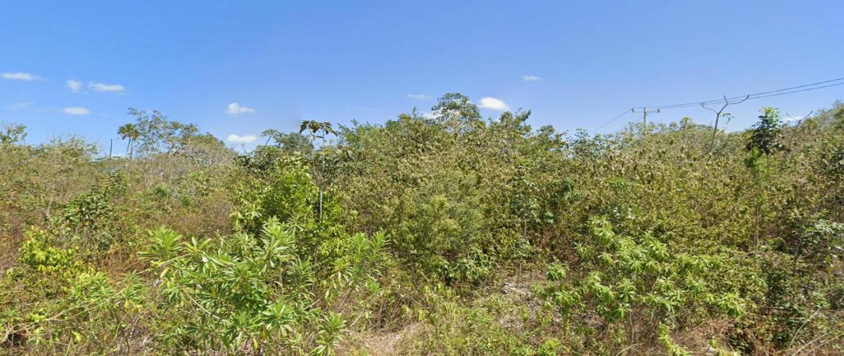 Foto de terreno habitacional en , álamos i, benito juárez, quintana roo, 30134461 foto 01 Foto de terreno habitacional en venta en , álamos i, benito juárez, quintana roo, 30134461 No. 01