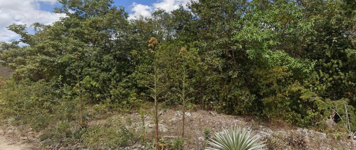 Foto de terreno habitacional en , álamos i, benito juárez, quintana roo, 30134461 foto 02 Foto de terreno habitacional en venta en , álamos i, benito juárez, quintana roo, 30134461 No. 02