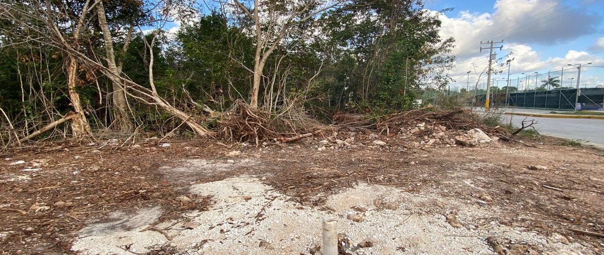 Foto de terreno habitacional en , álamos i, benito juárez, quintana roo, 0 foto 03 Foto de terreno habitacional en venta en , álamos i, benito juárez, quintana roo, 0 No. 03