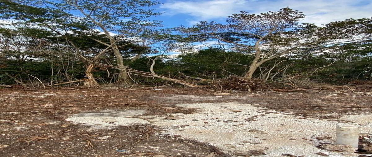 Foto de terreno habitacional en , álamos i, benito juárez, quintana roo, 0 foto 04 Foto de terreno habitacional en venta en , álamos i, benito juárez, quintana roo, 0 No. 04