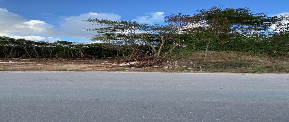 Foto de terreno habitacional en , álamos i, benito juárez, quintana roo, 0 foto 05 Foto de terreno habitacional en venta en , álamos i, benito juárez, quintana roo, 0 No. 05