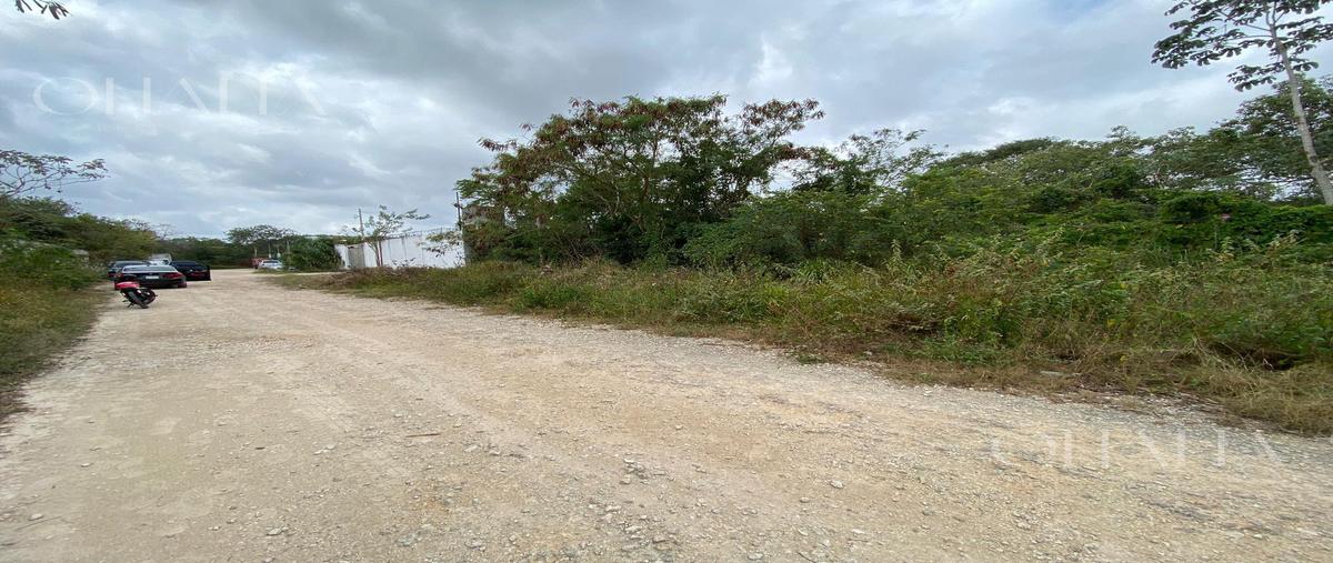 Foto de terreno habitacional en venta en  , álamos i, benito juárez, quintana roo, 0 No. 03