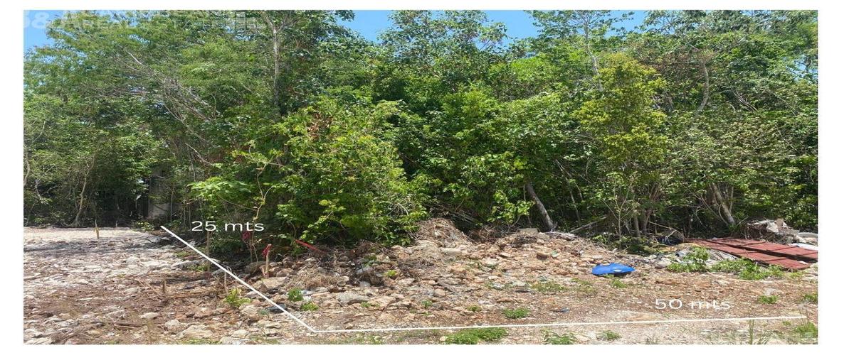 Foto de terreno habitacional en renta en  , álamos i, benito juárez, quintana roo, 0 No. 03
